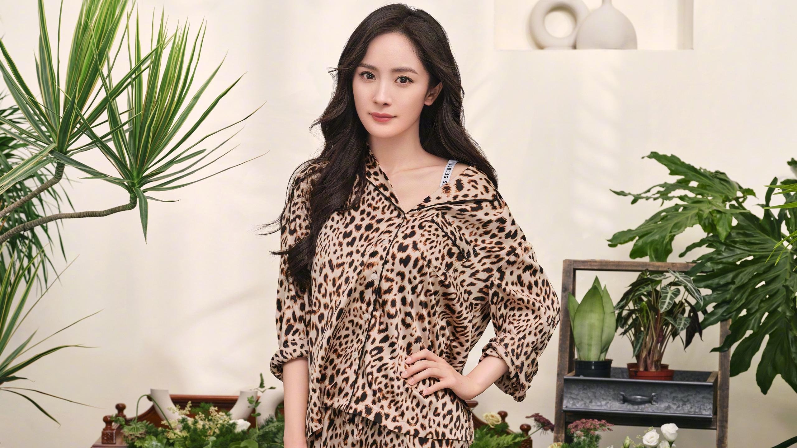 各队季后赛战术演练，为胜利铺路，季后赛对战规则