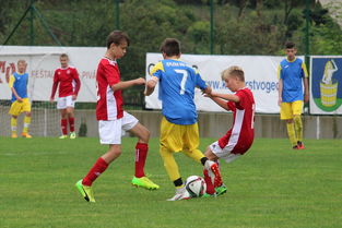 九游网页版官网-塞尔维亚实力不断提升，期待在国际大赛中突破